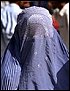Taliban-Date